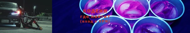 индика Галич