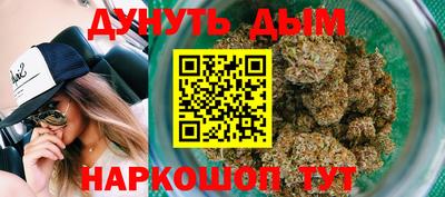 не бодяженный Гатчина