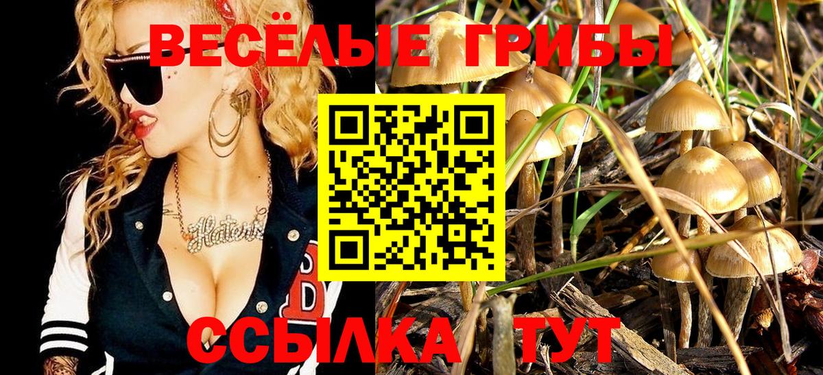 Псилоцибиновые грибы мицелий Чусовой
